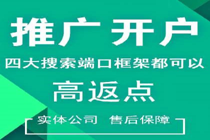 百度推广代运营公司案例分析